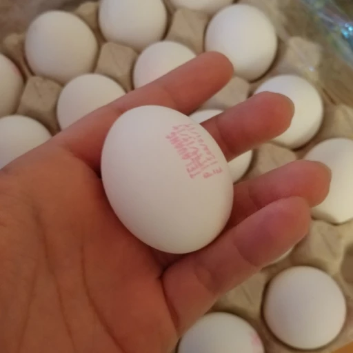تخم مرغ  برند تک رنگ