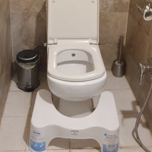 توالت فرنگی  برند پیسو